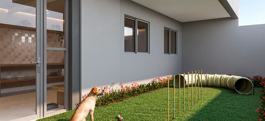 PET-PLACE_HIGH-1